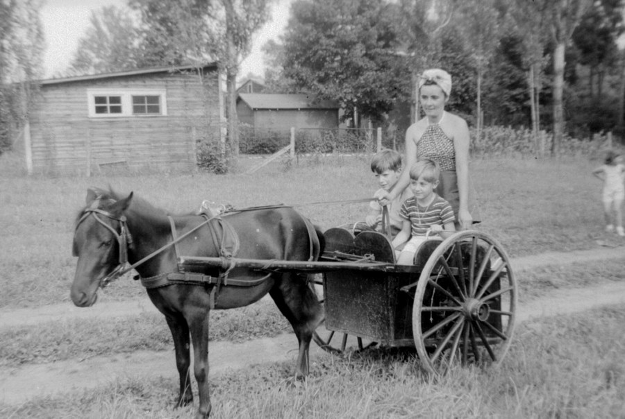 Desbarats PONYCART 1940s Web